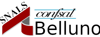 Sindacato Snals Confsal Belluno cell. 3284047616